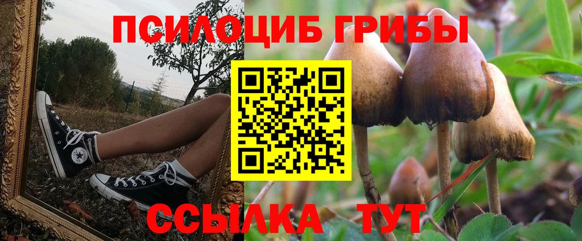 Псилоцибиновые грибы MAGIC MUSHROOMS  Вход с VPN  Белорецк 