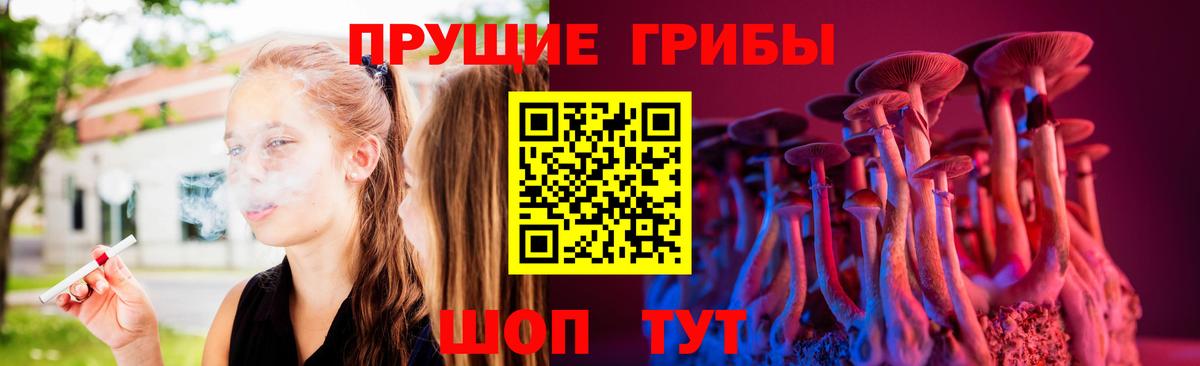 Галлюциногенные грибы Psilocybe Белорецк